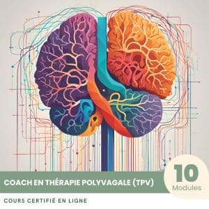 Coach en thérapie polyvagale (TPV) - Formation Certifiante